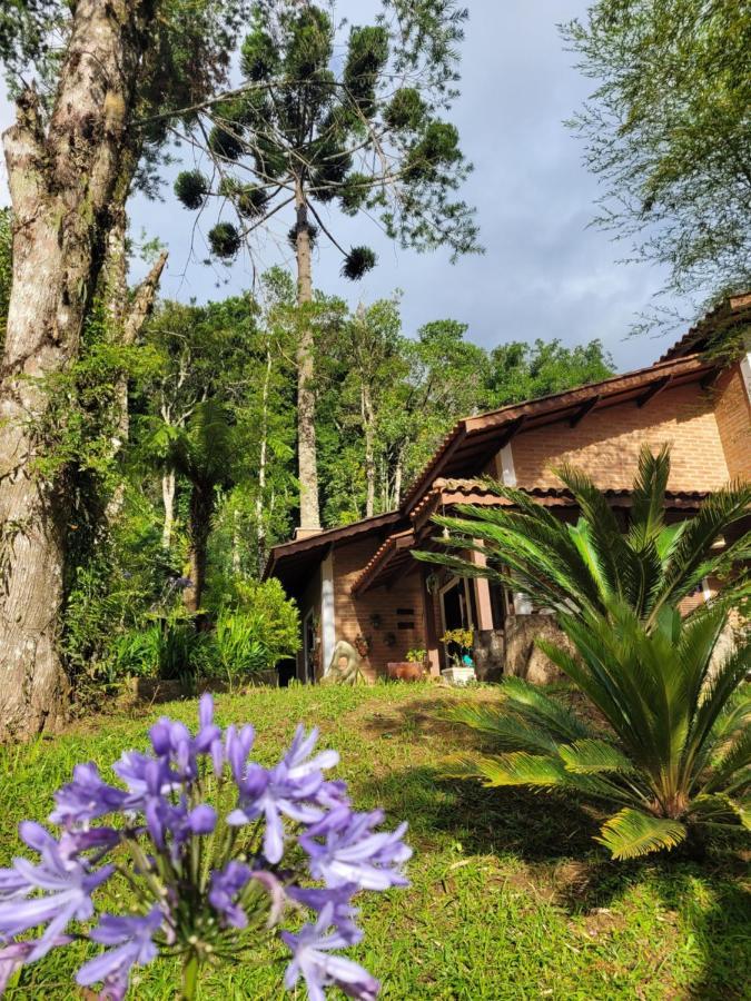 Villa Casa Da Sol à Monteverde Extérieur photo