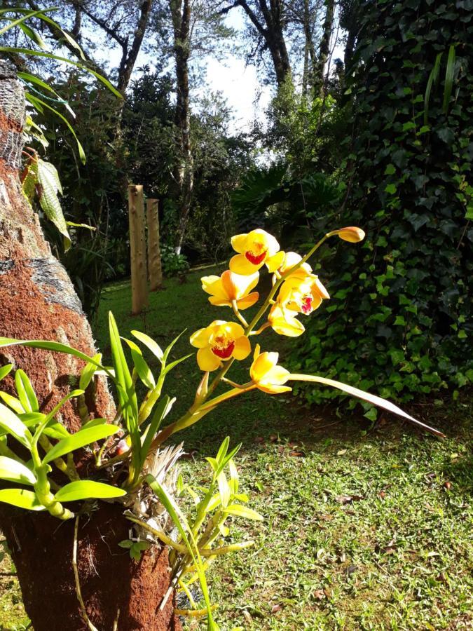 Villa Casa Da Sol à Monteverde Extérieur photo